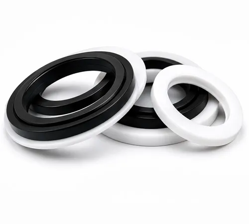 Spring-Energized Seals