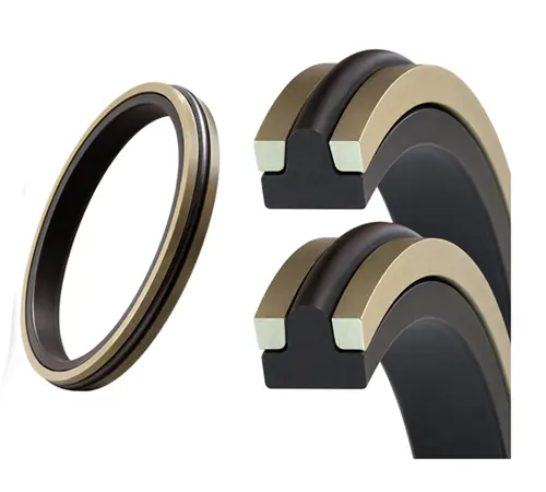 Oil & Gas Seals