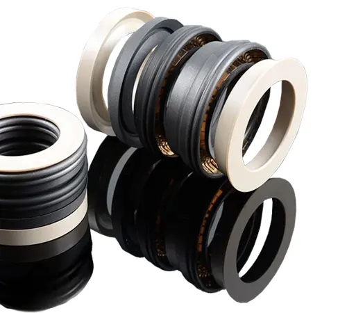 Oil & Gas Seals