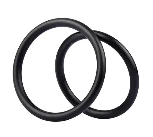 NORSOK M-710 & RGD-Resistant Seals