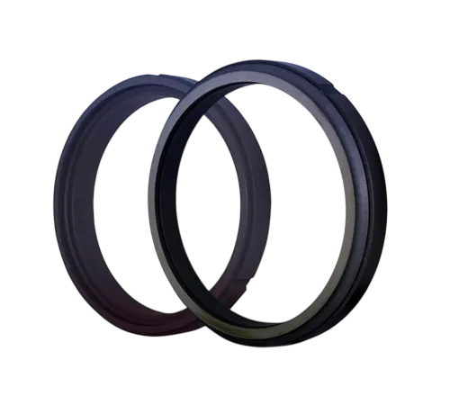 Spring-Energized Seals
