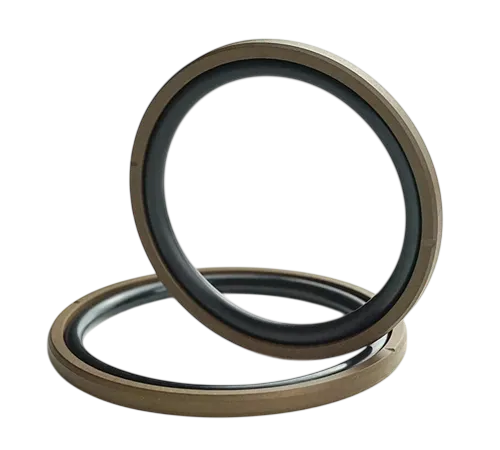Spring-Energized Seals