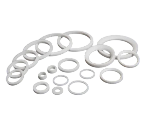 Spring-Energized Seals