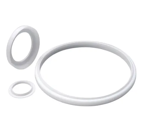 Spring-Energized Seals