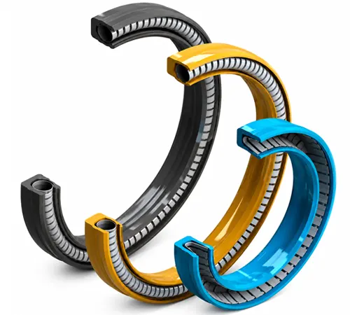 Spring-Energized Seals