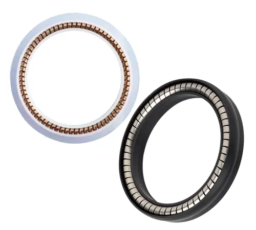 Spring-Energized Seals