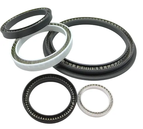 Spring-Energized Seals